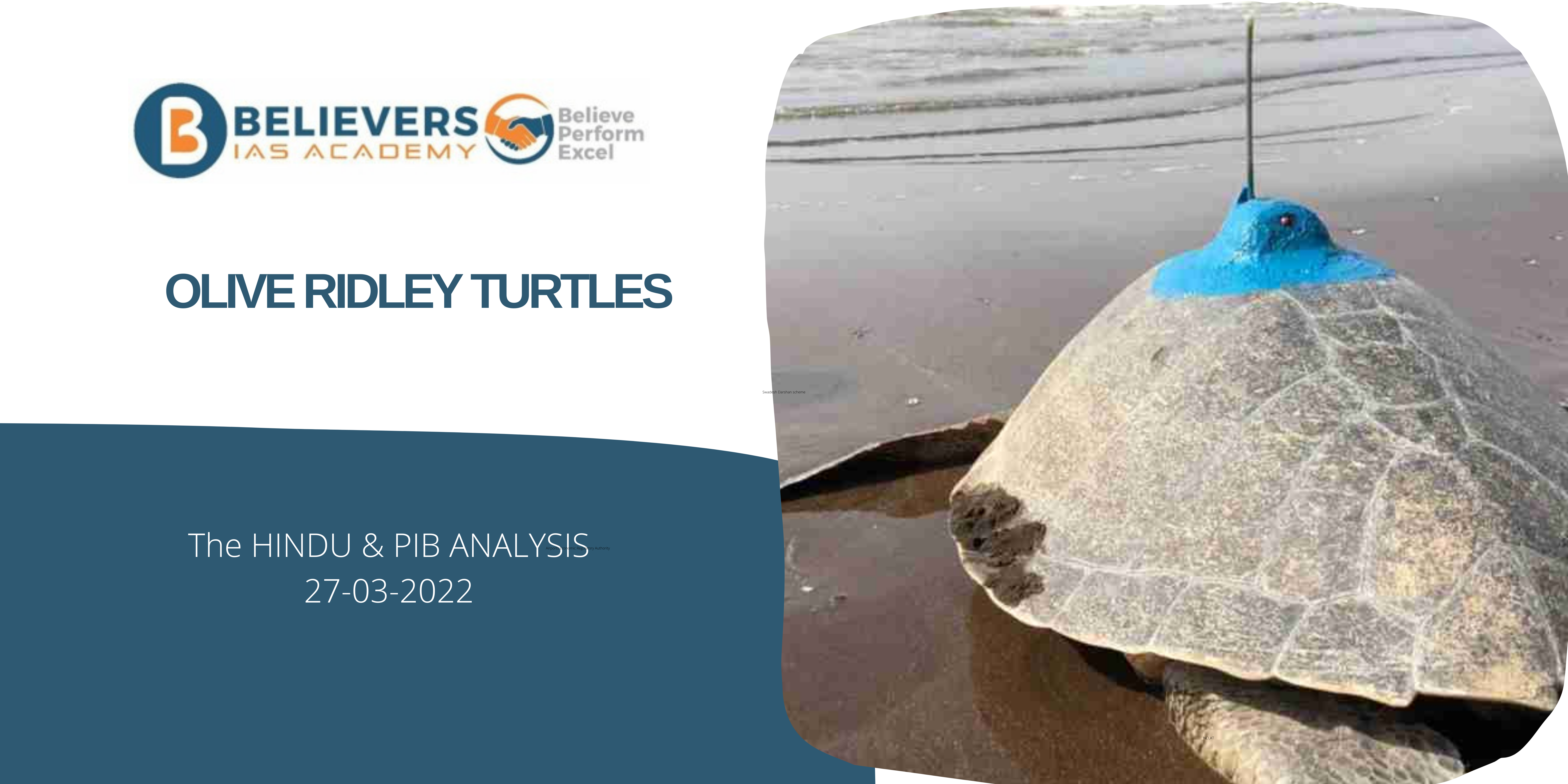 UPSC Current affairs - Olive Ridley Turtles