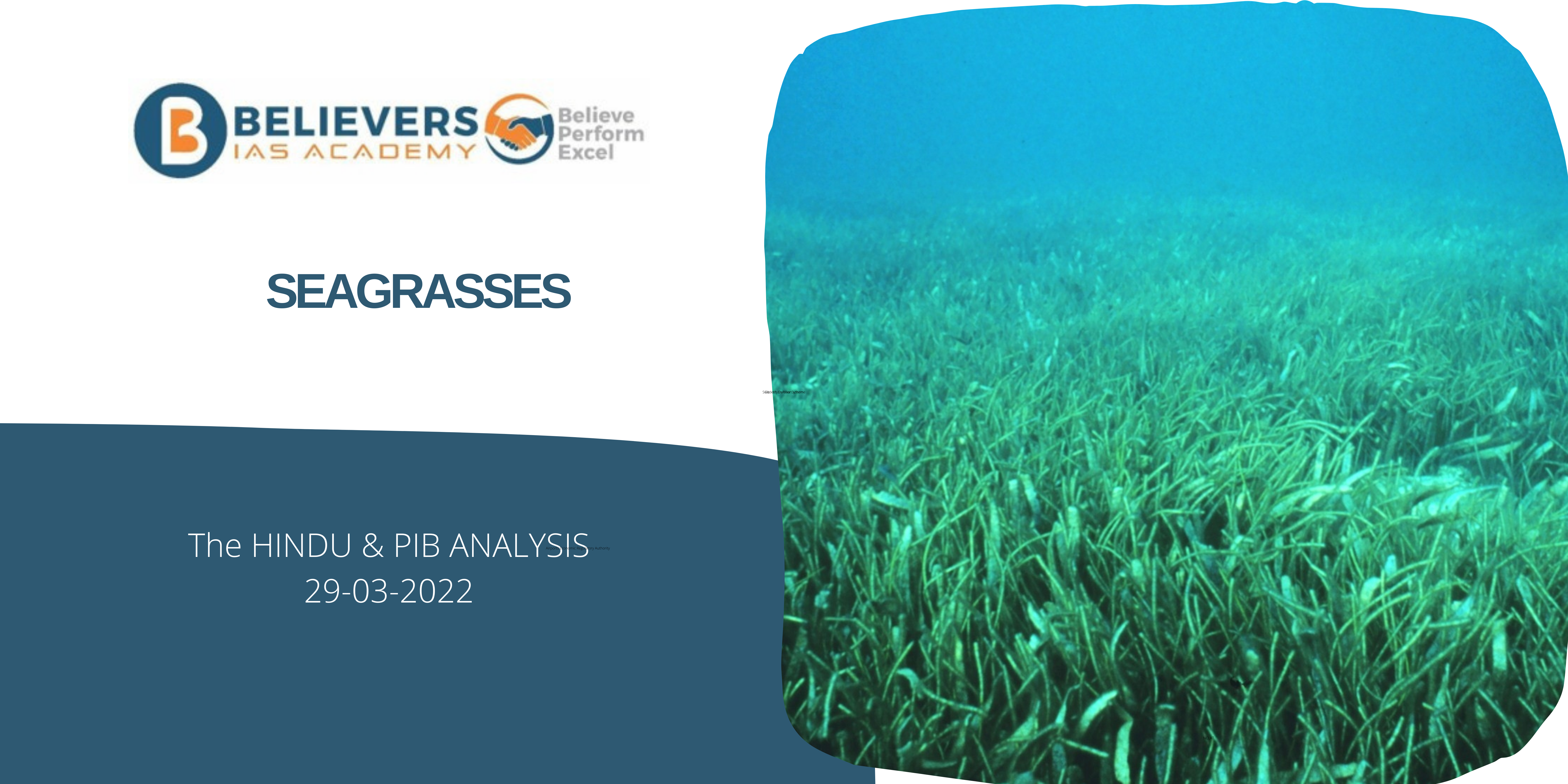 UPSC Current affairs - Seagrasses