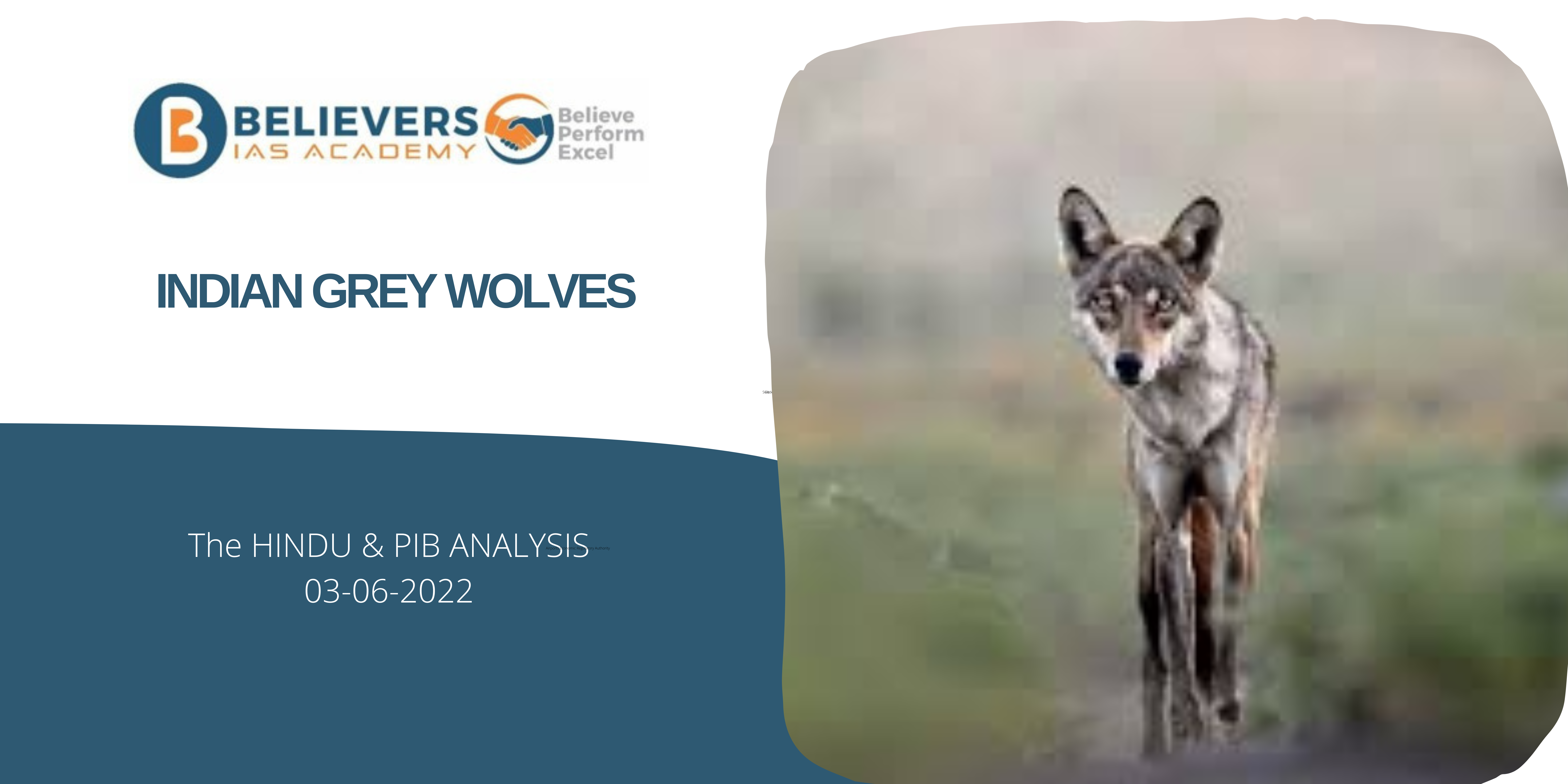 UPSC Current affairs - Indian Grey Wolves