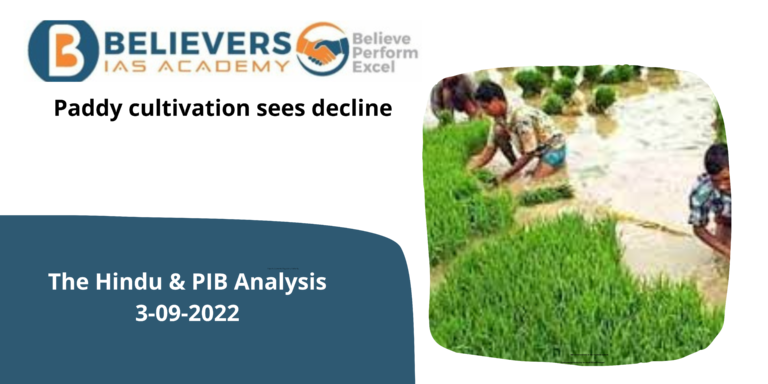 Paddy cultivation sees decline
