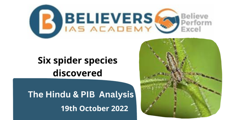 Six spider species discovered