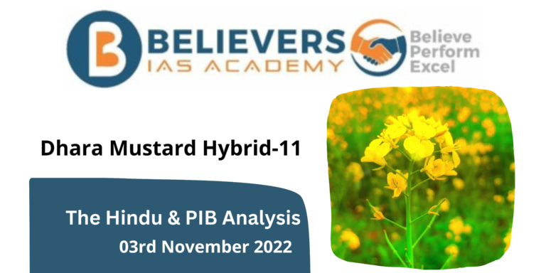 Dhara Mustard Hybrid-11