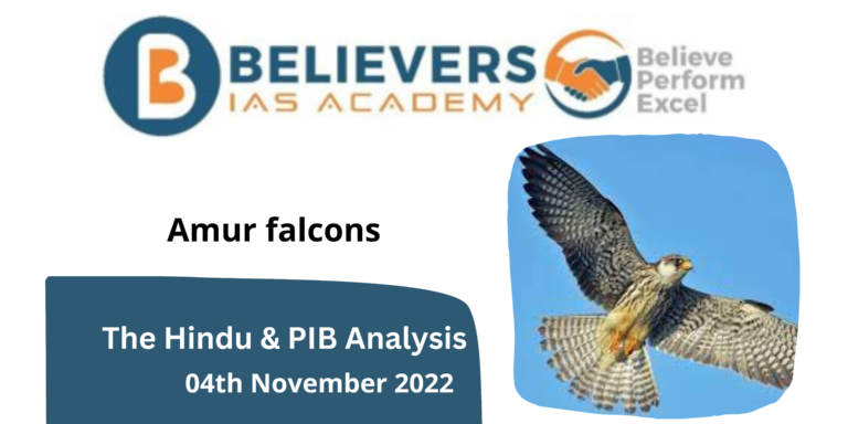 Amur Falcons: A Complete Overview