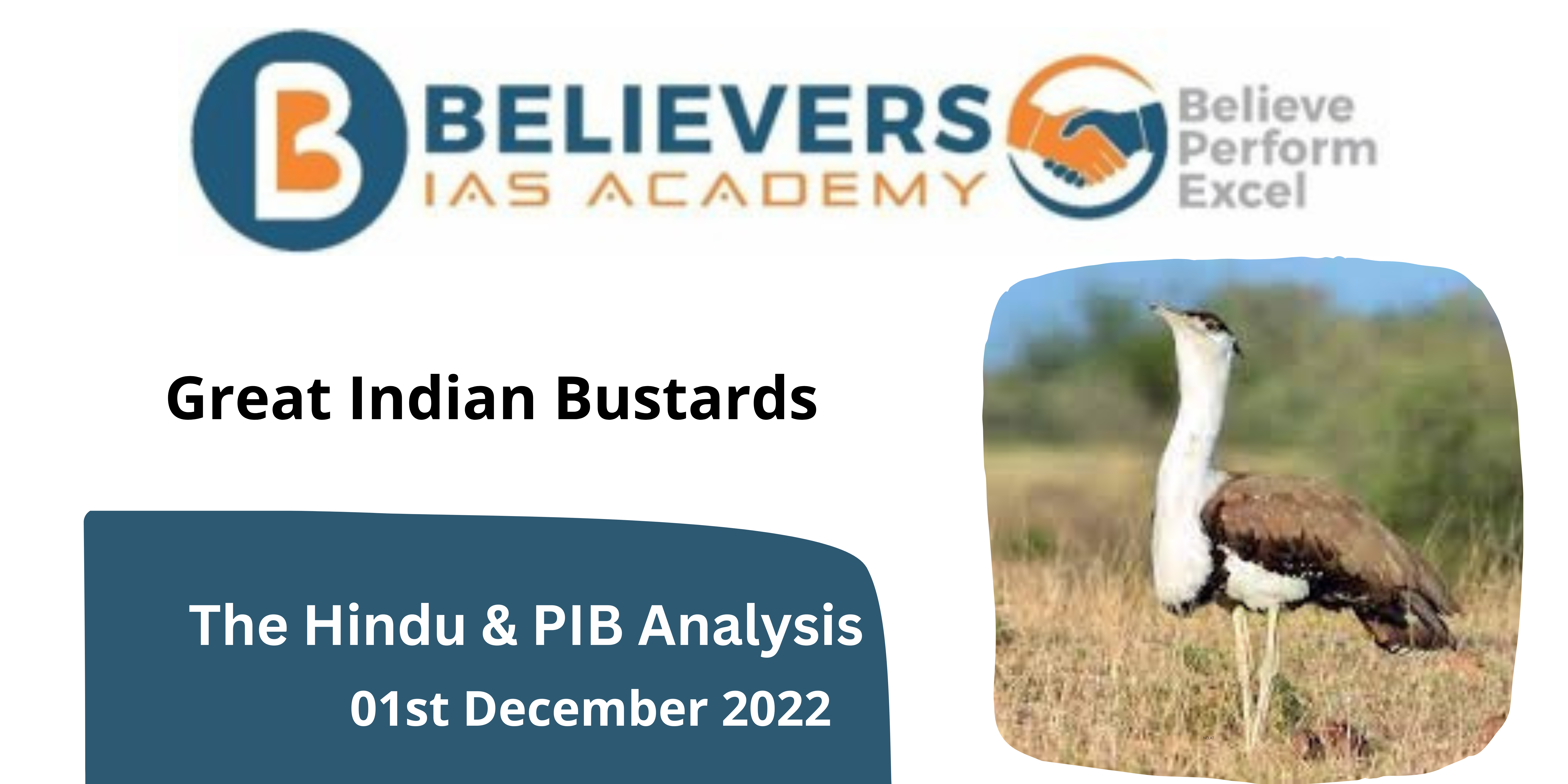 Great Indian Bustard - Believers IAS Academy