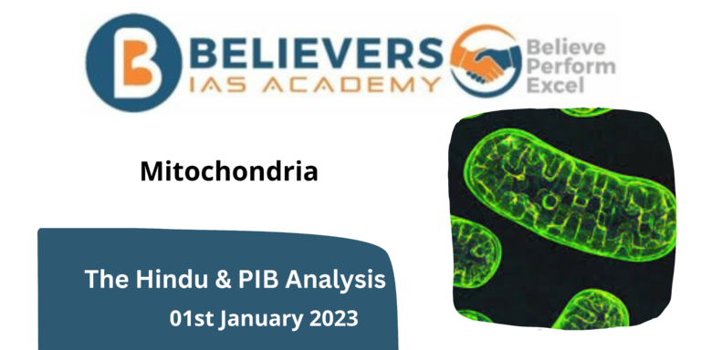 Mitochondria