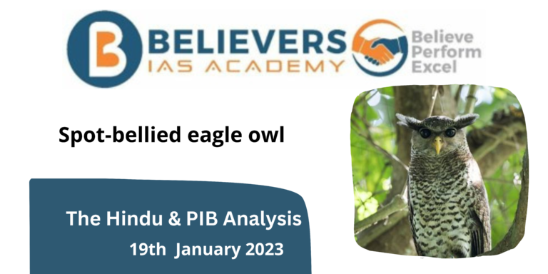 Spot-bellied eagle owl