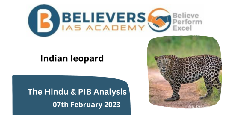 Indian leopard