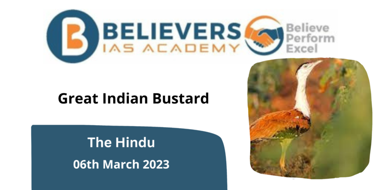 About the Great Indian Bustard