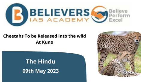 Cheetah Release in the Wild: Kuno