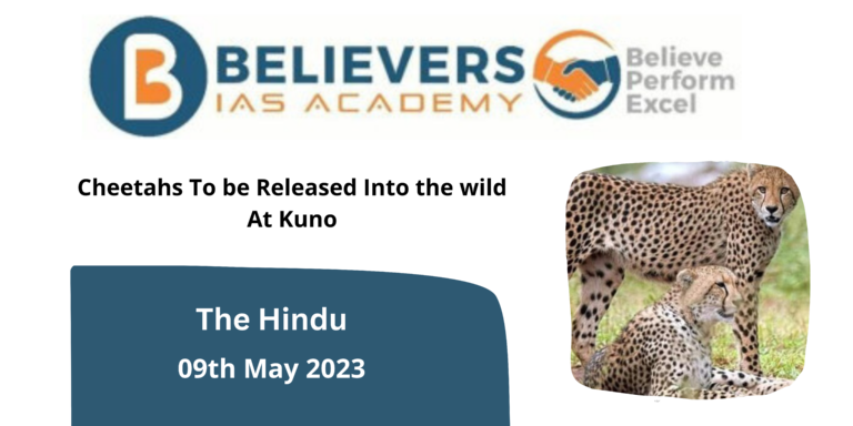 Cheetah Release in the Wild: Kuno