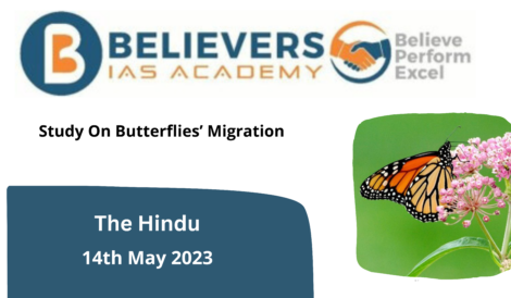 Study On Butterflies’ Migration