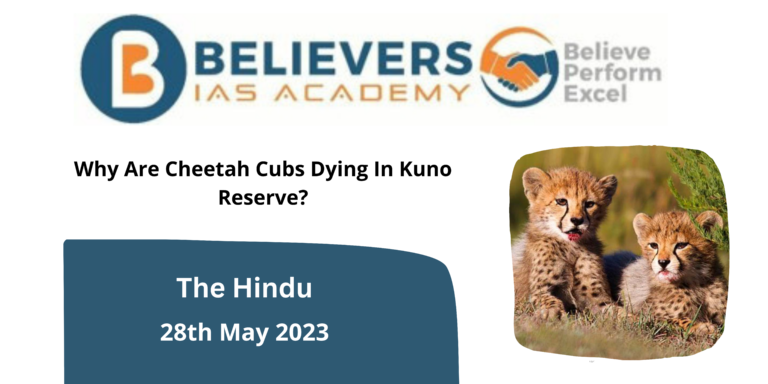 Why Are Cheetah Cubs Dying In Kuno Reserve?