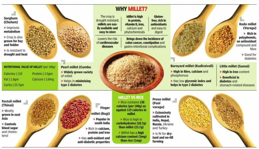 The Nutritional Value Of Millet - Believers IAS Academy