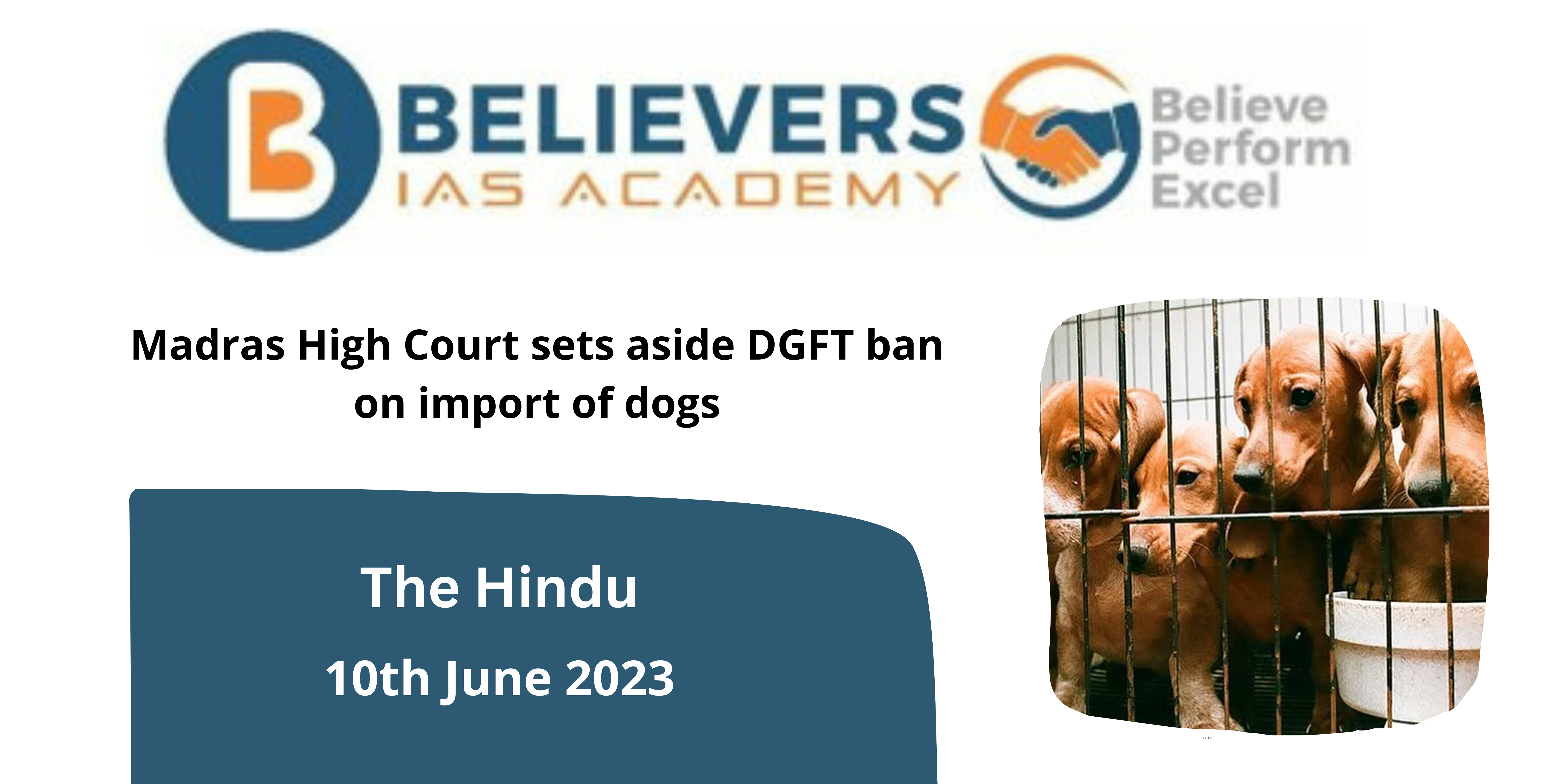 Madras High Court sets aside DGFT ban on import of dogs