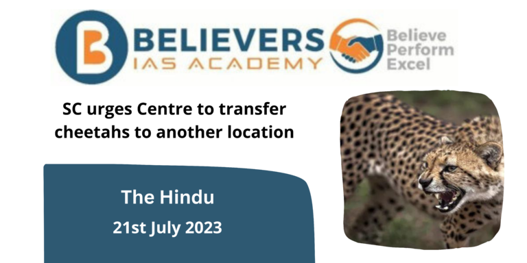 SC urges Centre to transfer cheetahs to another location
