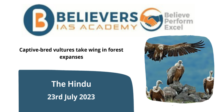 Captive-bred vultures take wing in forest expanses
