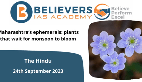 Maharashtra’s ephemerals: plants that wait for monsoon to bloom