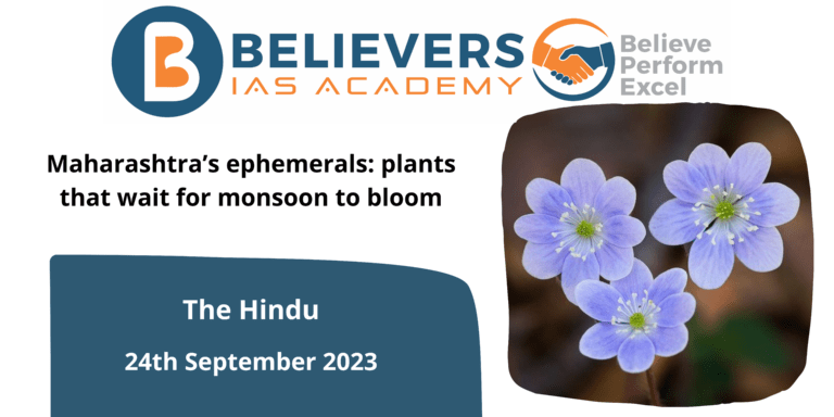 Maharashtra’s ephemerals: plants that wait for monsoon to bloom