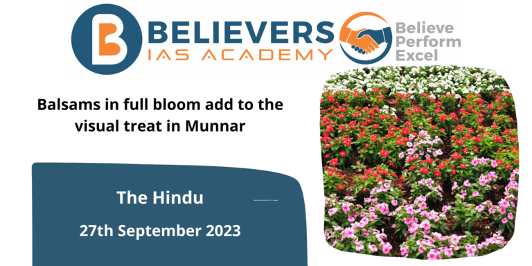 Balsams in full bloom add to the visual treat in Munnar