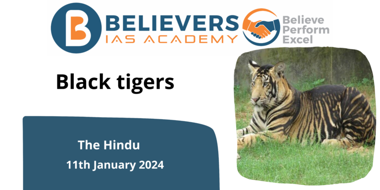 Black tigers
