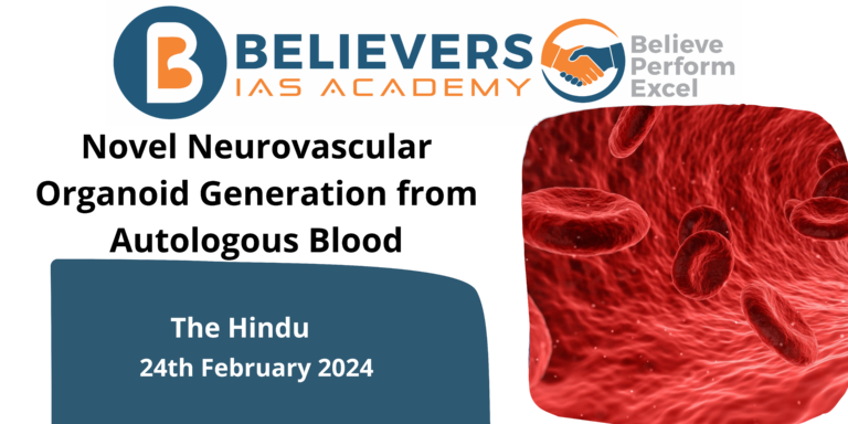 Novel Neurovascular Organoid Generation from Autologous Blood