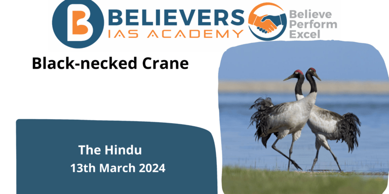 Black-necked Crane