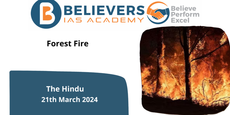 Forest Fire