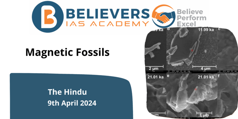 Magnetic Fossils
