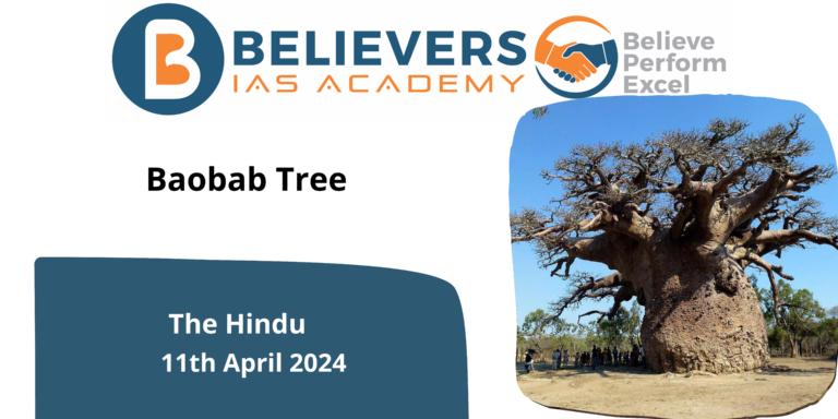 Baobab Tree