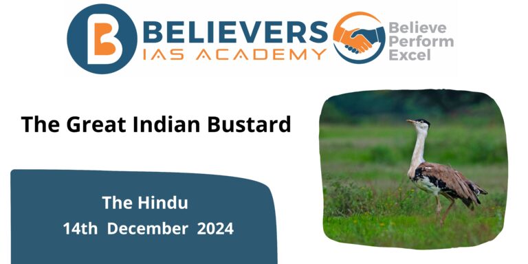 The Great Indian Bustard