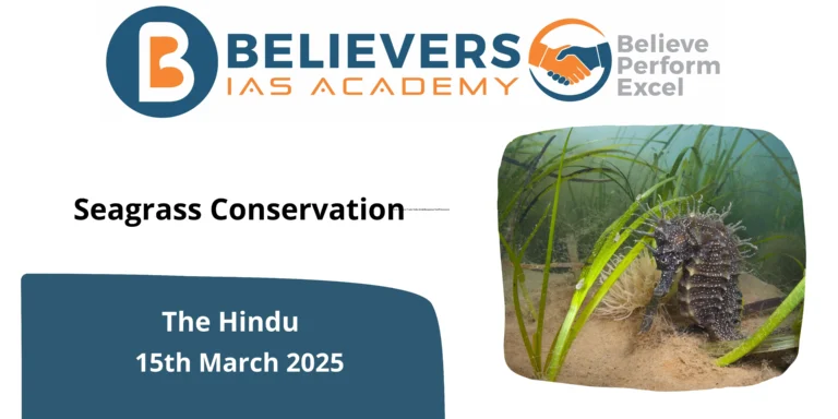 Seagrass Conservation