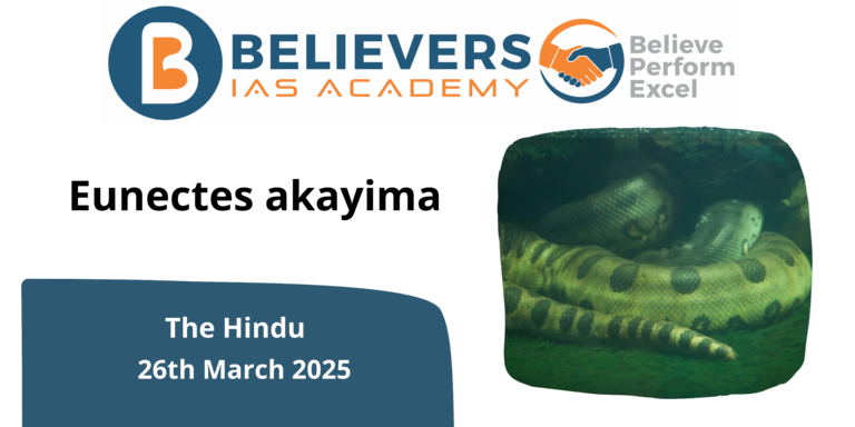 Eunectes akayima