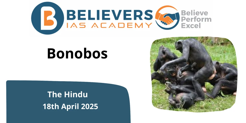 current affairs (96)