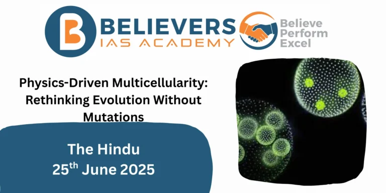 Physics-Driven Multicellularity: Rethinking Evolution Without Mutations