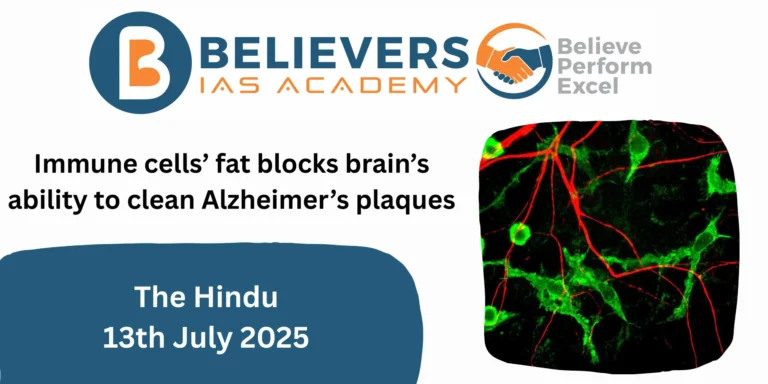 Immune cells’ fat blocks brain’s ability to clean Alzheimer’s plaques