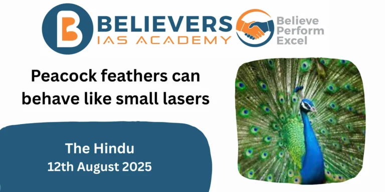 Peacock feathers can behave like small lasers